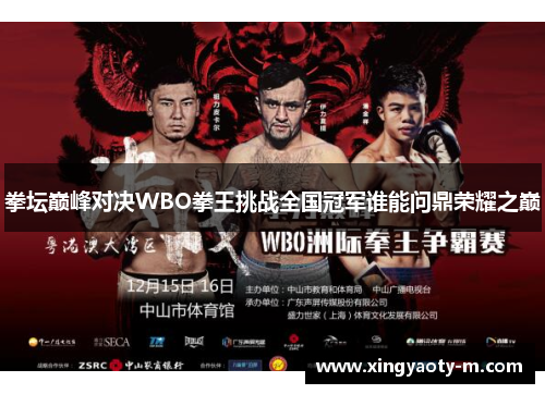 拳坛巅峰对决WBO拳王挑战全国冠军谁能问鼎荣耀之巅